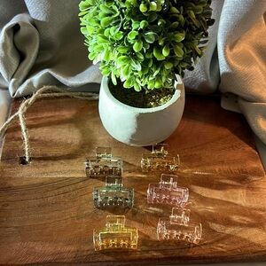 6 Piece Clear Claw Clips